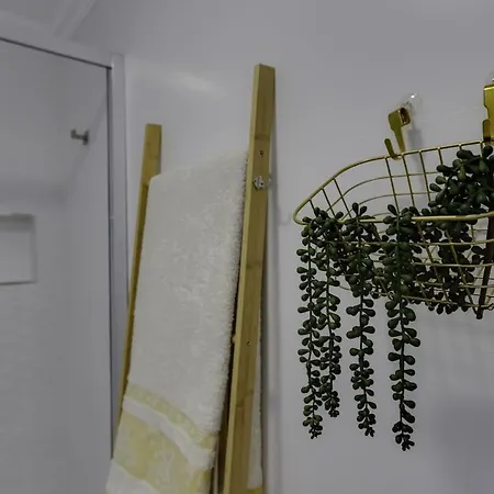 Gingko Biloba Roof By My Algarve *