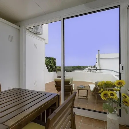 Gingko Biloba Roof By My Algarve *